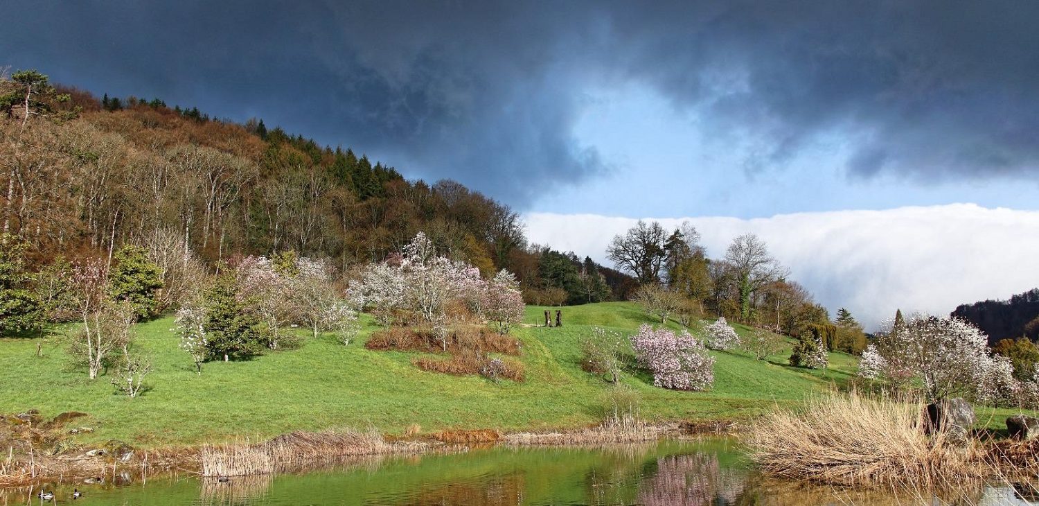 Un parc botanique unique en Suisse !<br />
<br />
