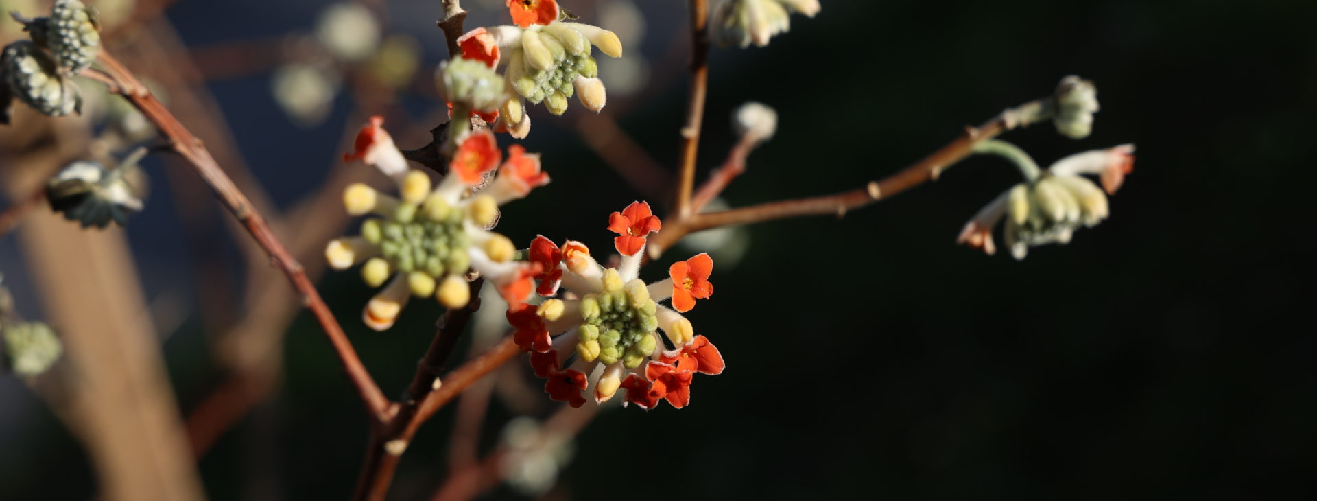 Le printemps revient doucement au Vallon de l'Aubonne 