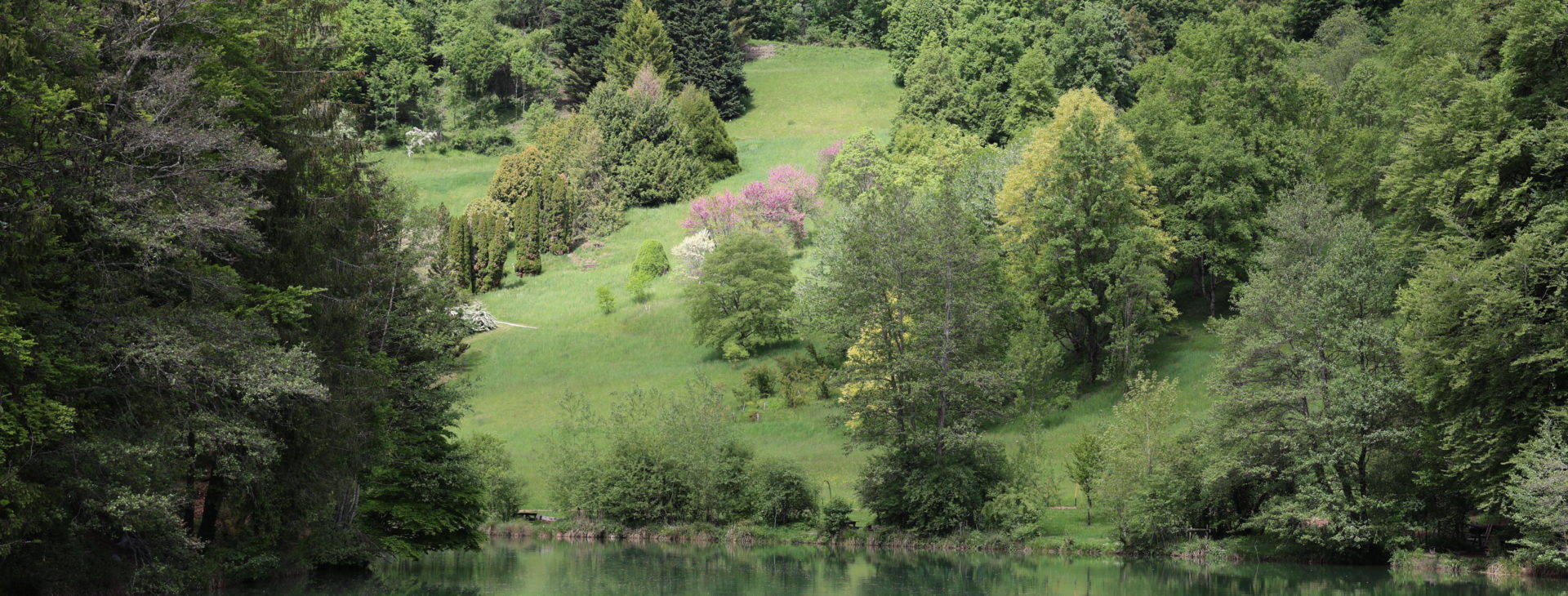 Arboretum du Vallon de l'Aubonne