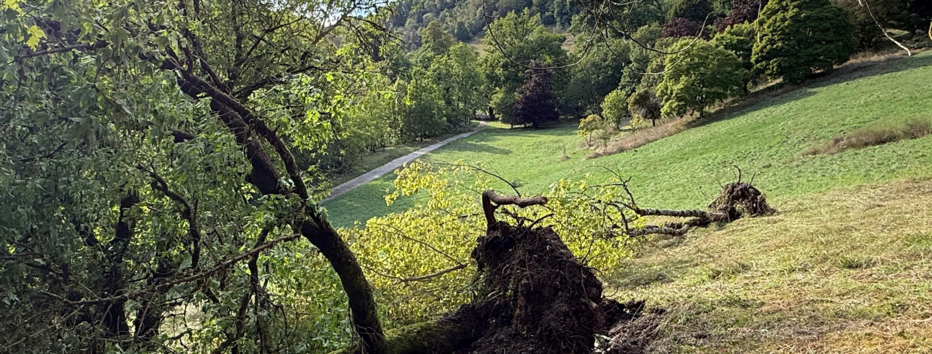 L’Arboretum est ouvert