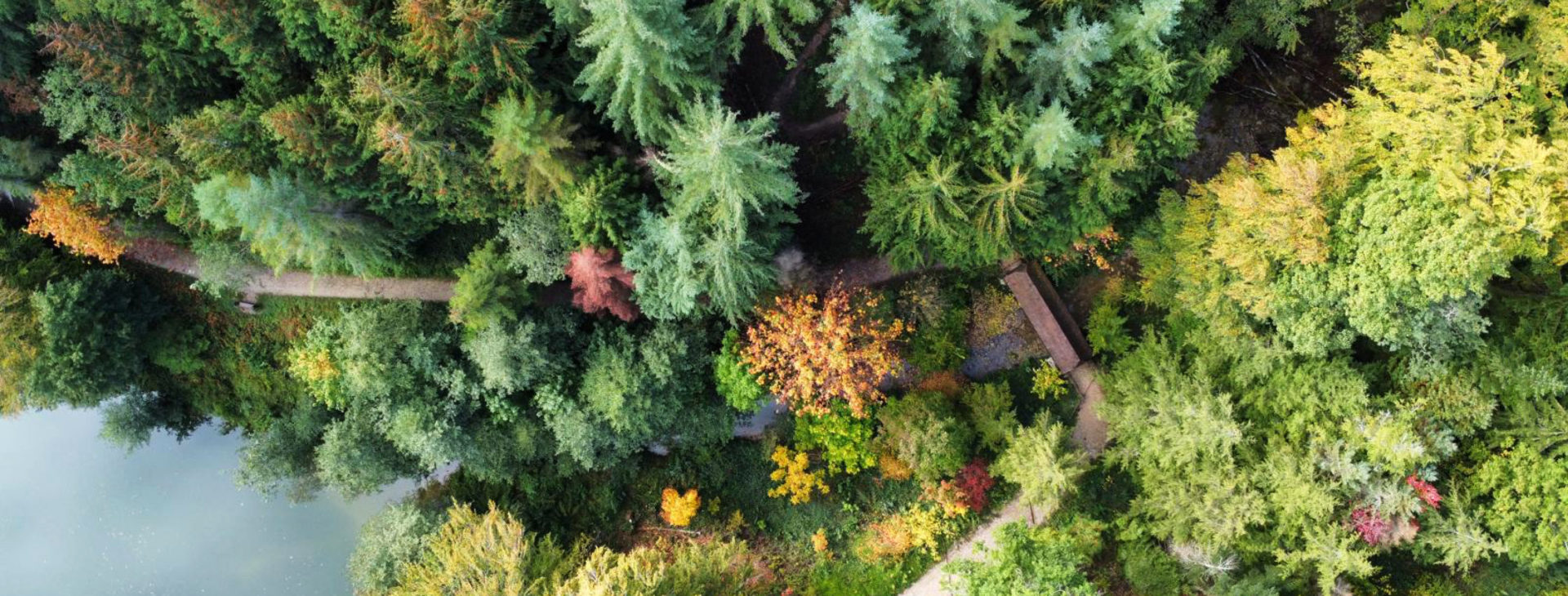 Arboretum du Vallon de l'Aubonne